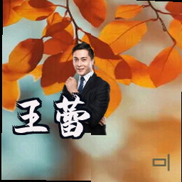 王蕾